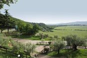sportin san felice